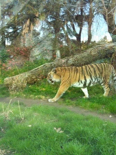 Bioparco Rom